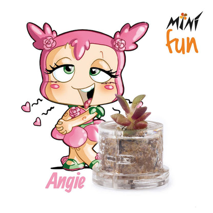 Minì Box Fun Angie - Dolce e romantica, rappresenta l'amore!