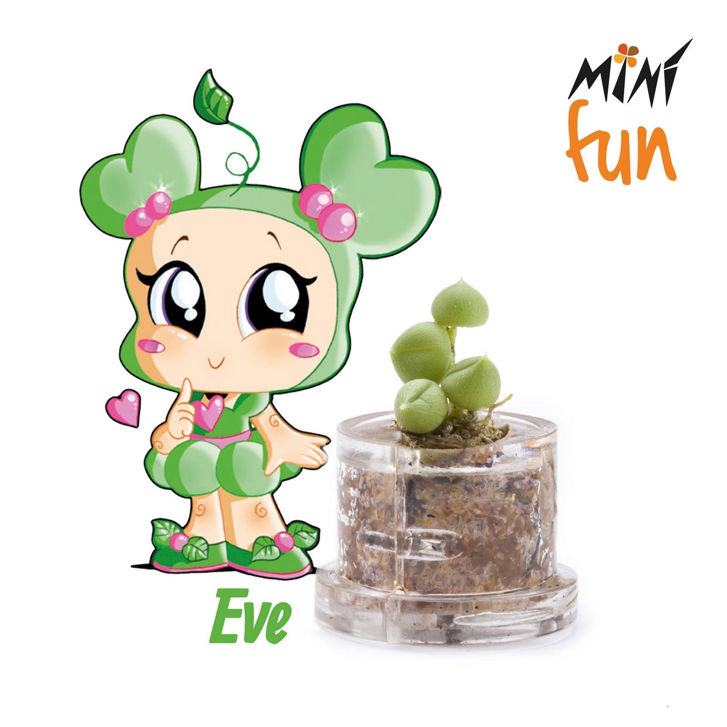 Minì Box Fun Eve - Delicata e dolce, rappresenta la tenerezza!