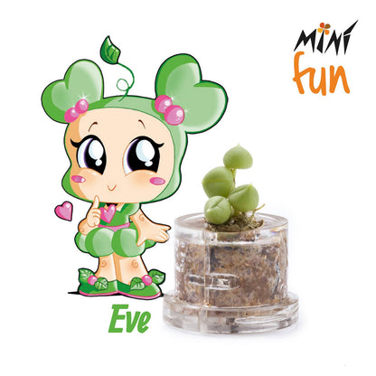 Minì Box Fun Eve - Delicata e dolce, rappresenta la tenerezza!