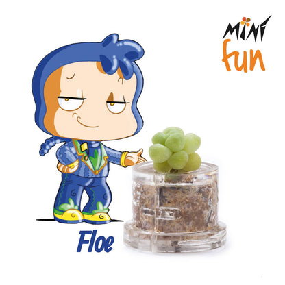 Minì Fun Floe - Educato e gentile, rappresenta l'eleganza!