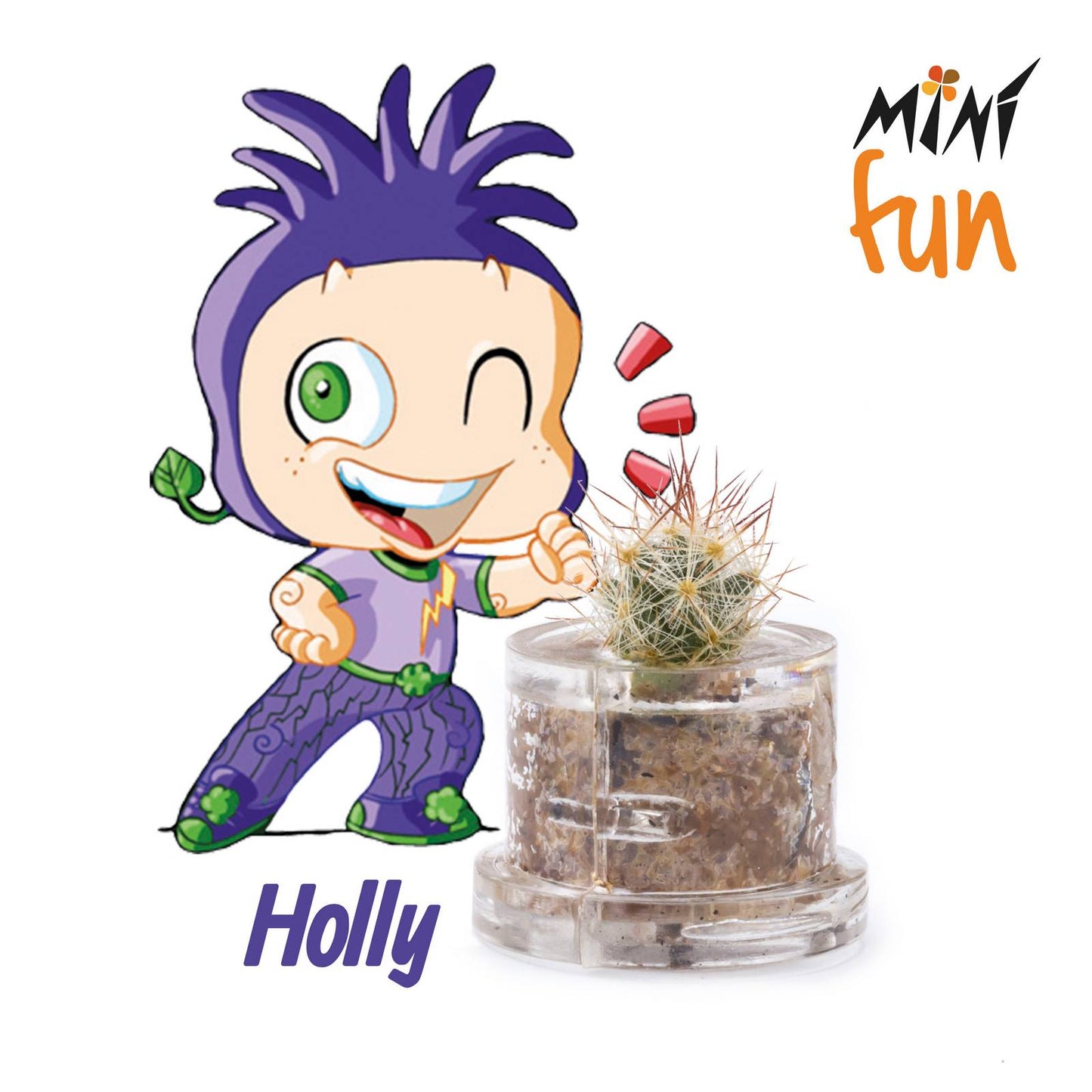 Minì Box Fun Holly - Ottimista e ambiziosa, rappresenta l'ambizione!