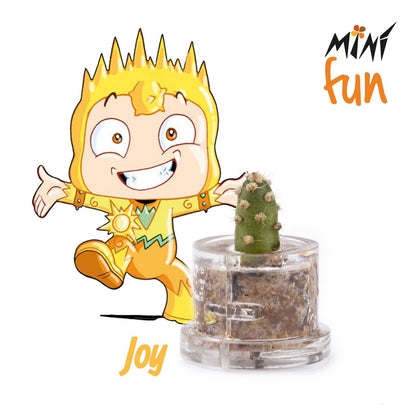 Minì Fun Joy - Allegro e vivace, rappresenta la felicità!