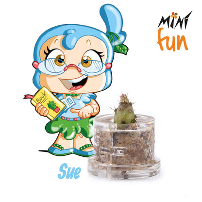 Minì Box Fun Sue - Dolce e colta, rappresenta la saggezza!