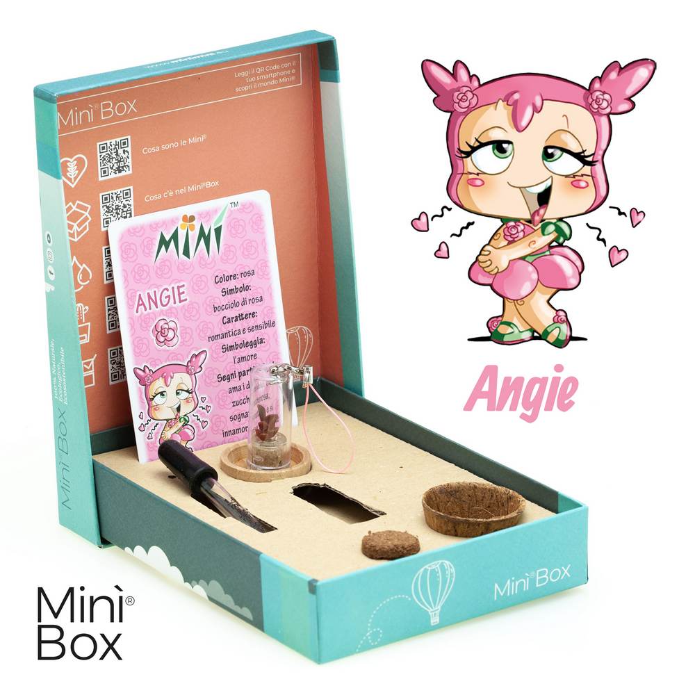 Minì Box Fun Angie - Dolce e romantica, rappresenta l'amore!