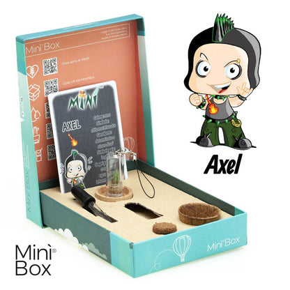 Minì Box Fun Axel - Grintoso e sicuro di sè, rappresenta la determinazione!