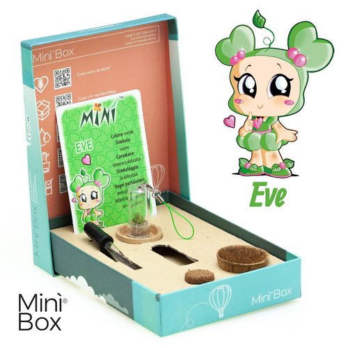 Minì Box Fun Eve - Delicata e dolce, rappresenta la tenerezza!