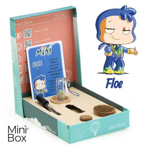 Minì Box Fun Floe - Raffinato e gentile, rappresenta l'eleganza!