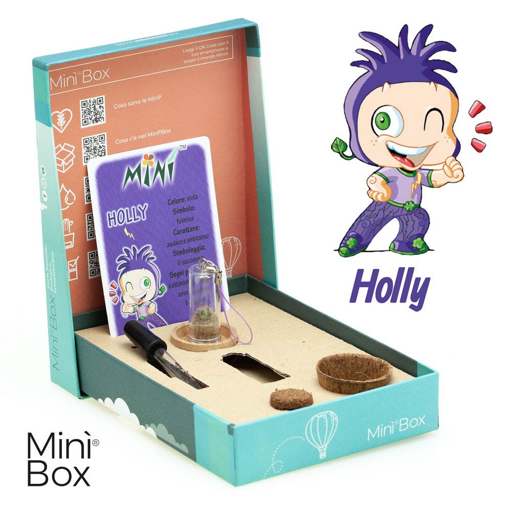 Minì Box Fun Holly - Ottimista e ambiziosa, rappresenta l'ambizione!