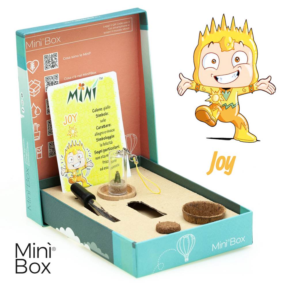 Min Box Fun Joy - Allegro e vivace, rappresenta la felicità!