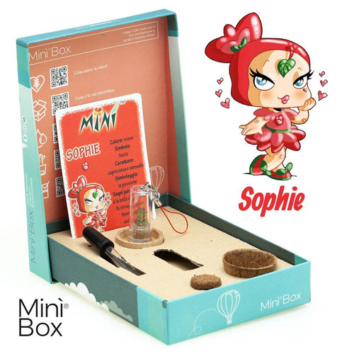 Minì Box Fun Sophie - Accattivante e sensuale, rappresenta la passione!